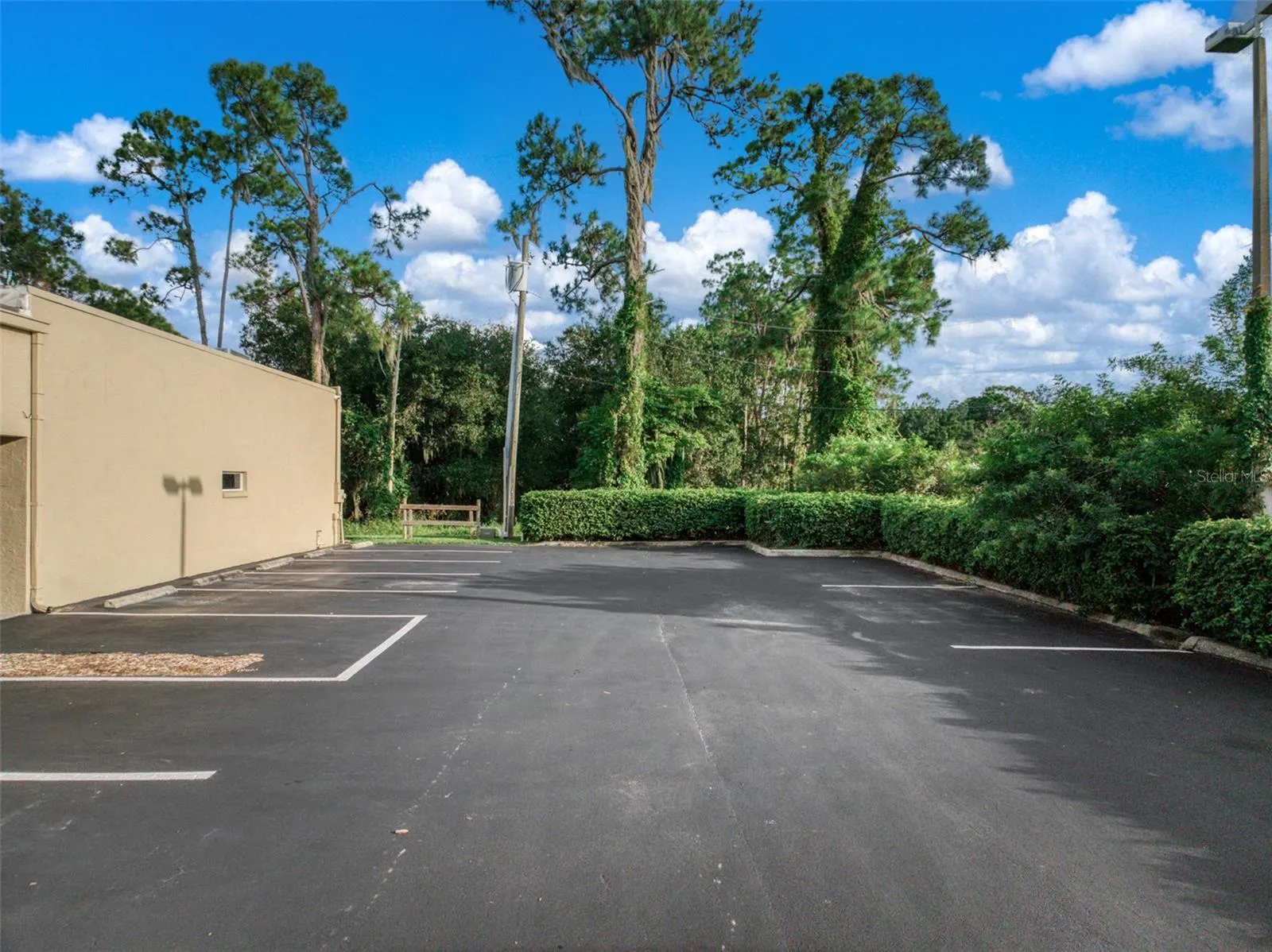 33 RYANT BLVD