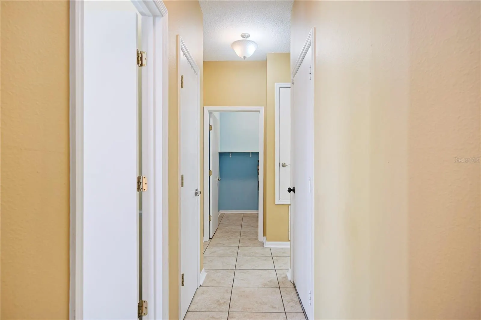 623 ELDERBERRY DR