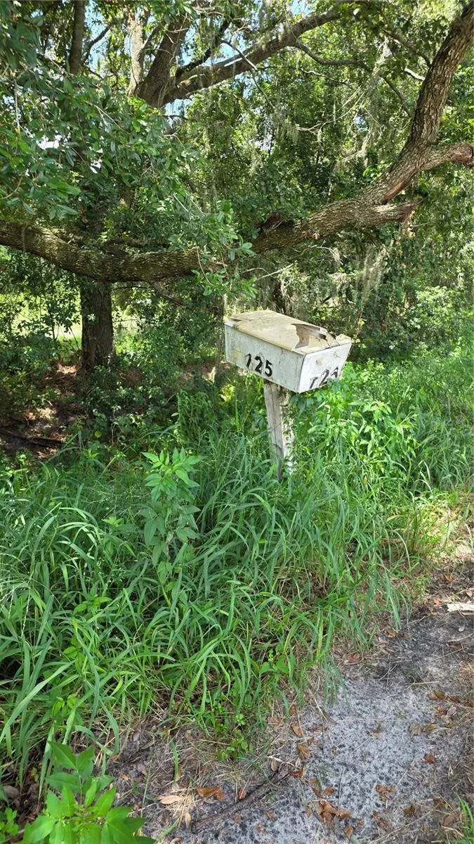 725 HICKORY HAMMOCK RD
