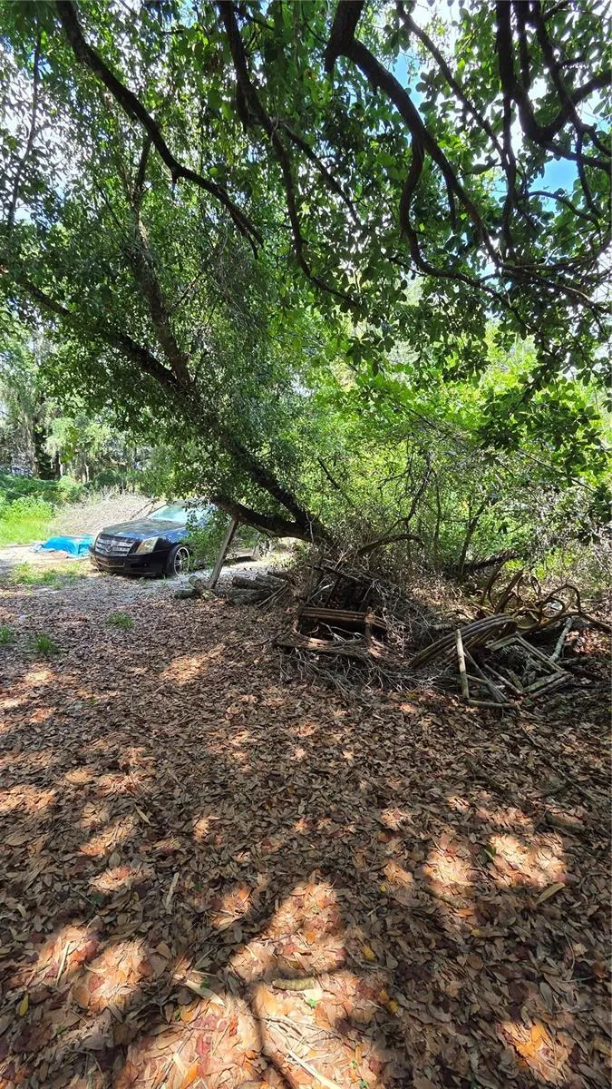 725 HICKORY HAMMOCK RD