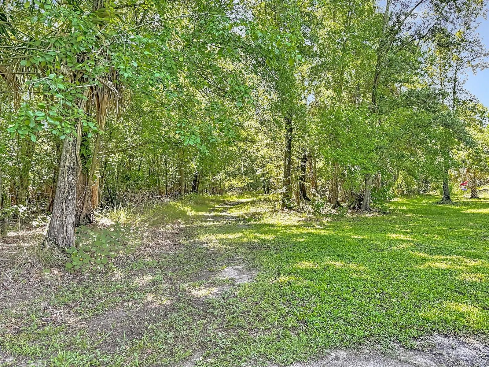 273 GRIFFIN RD