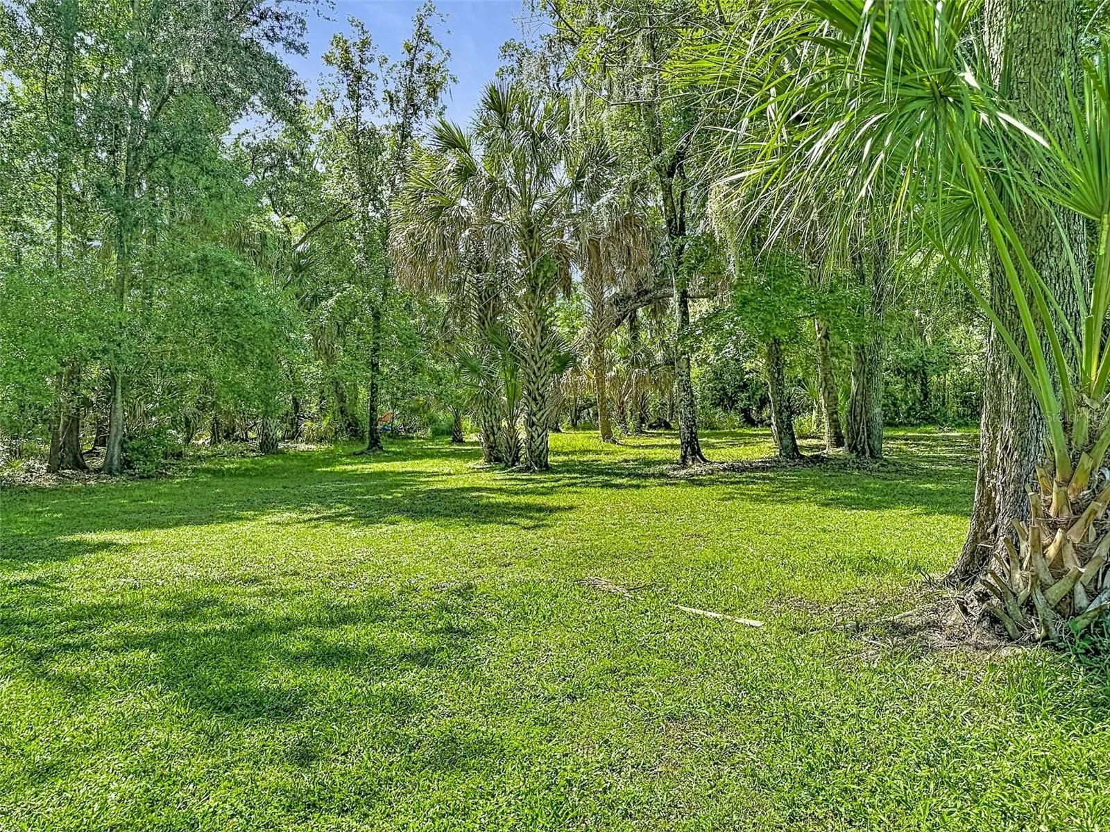 273 GRIFFIN RD
