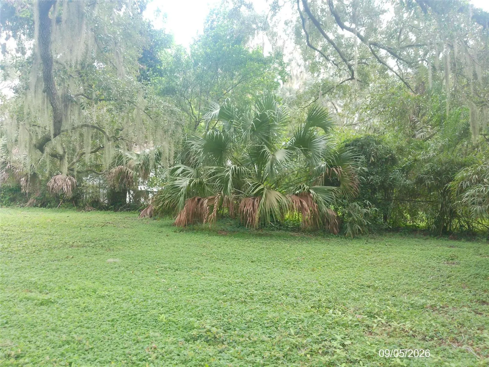 1423 CRYSTAL LAKE DR
