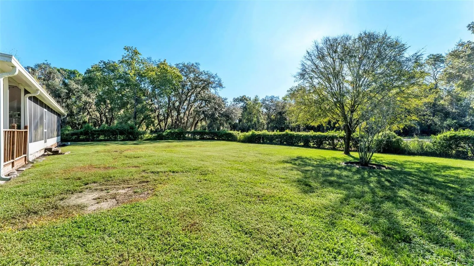 69 PINE FOREST DR