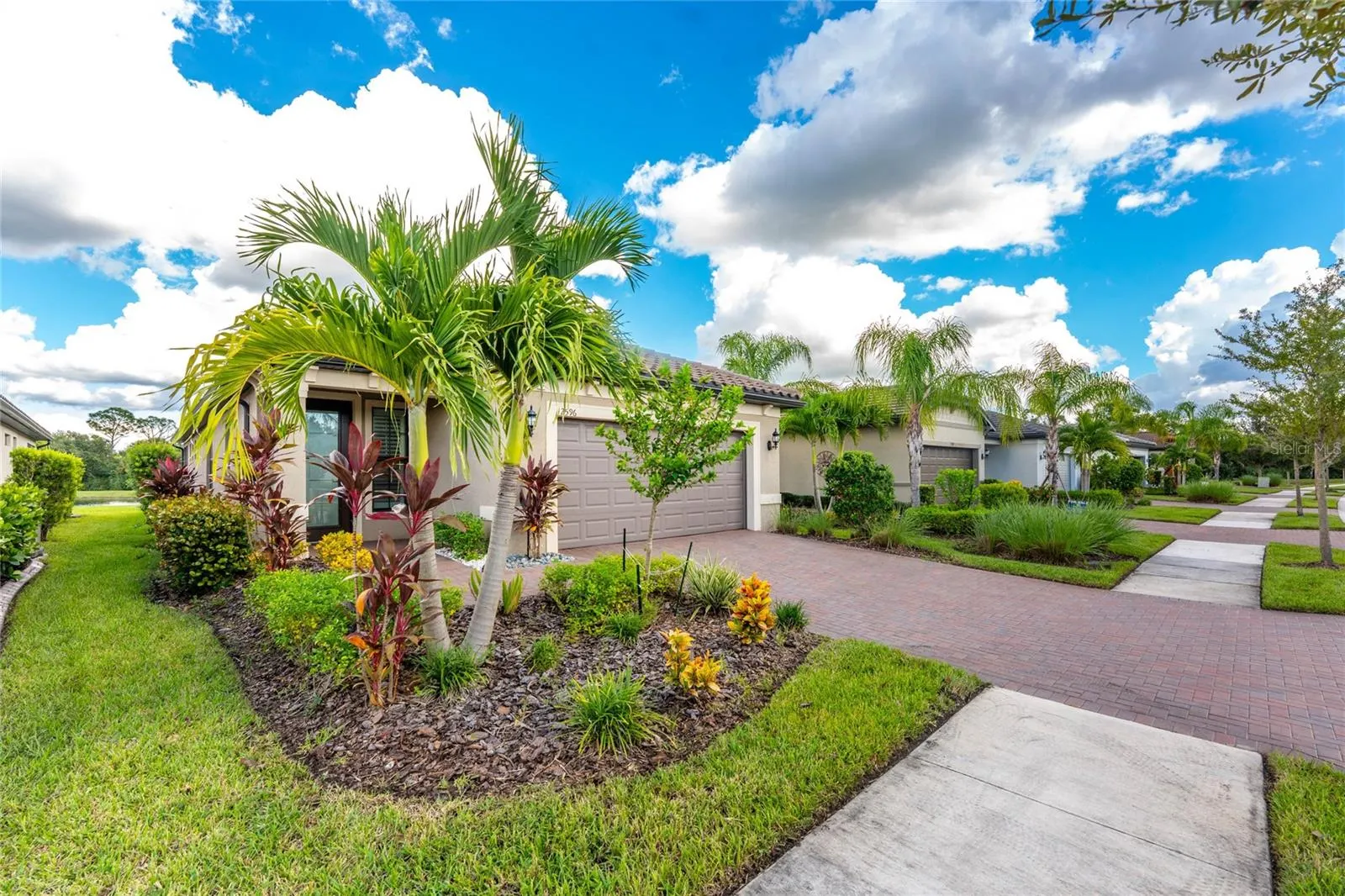 2596 BRASSICA DR