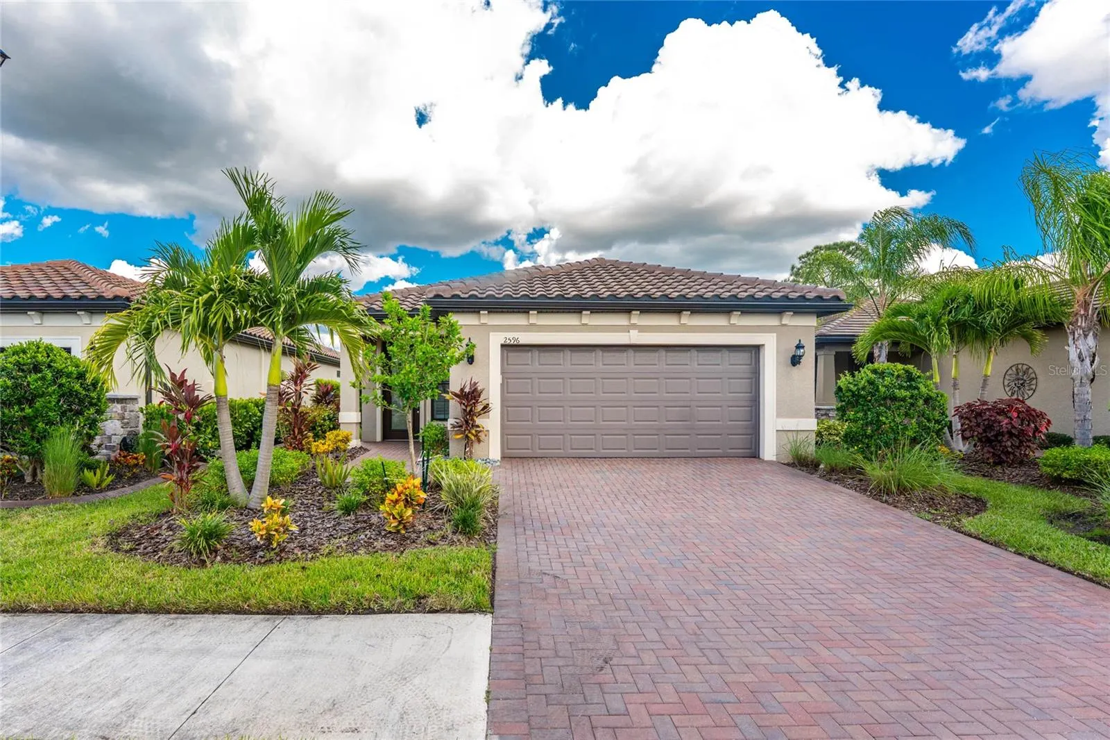 2596 BRASSICA DR