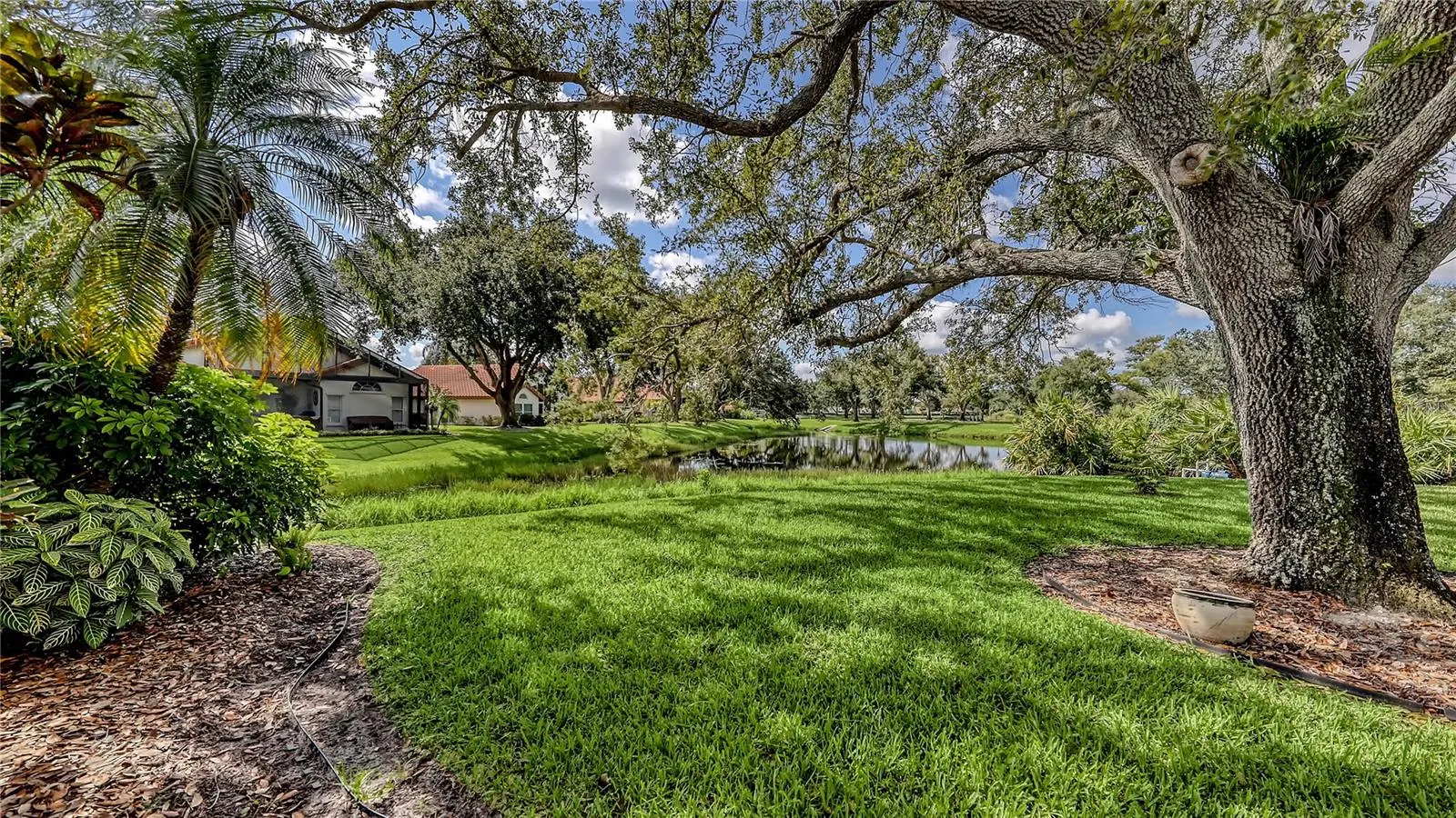 1212 WHITNEY DR