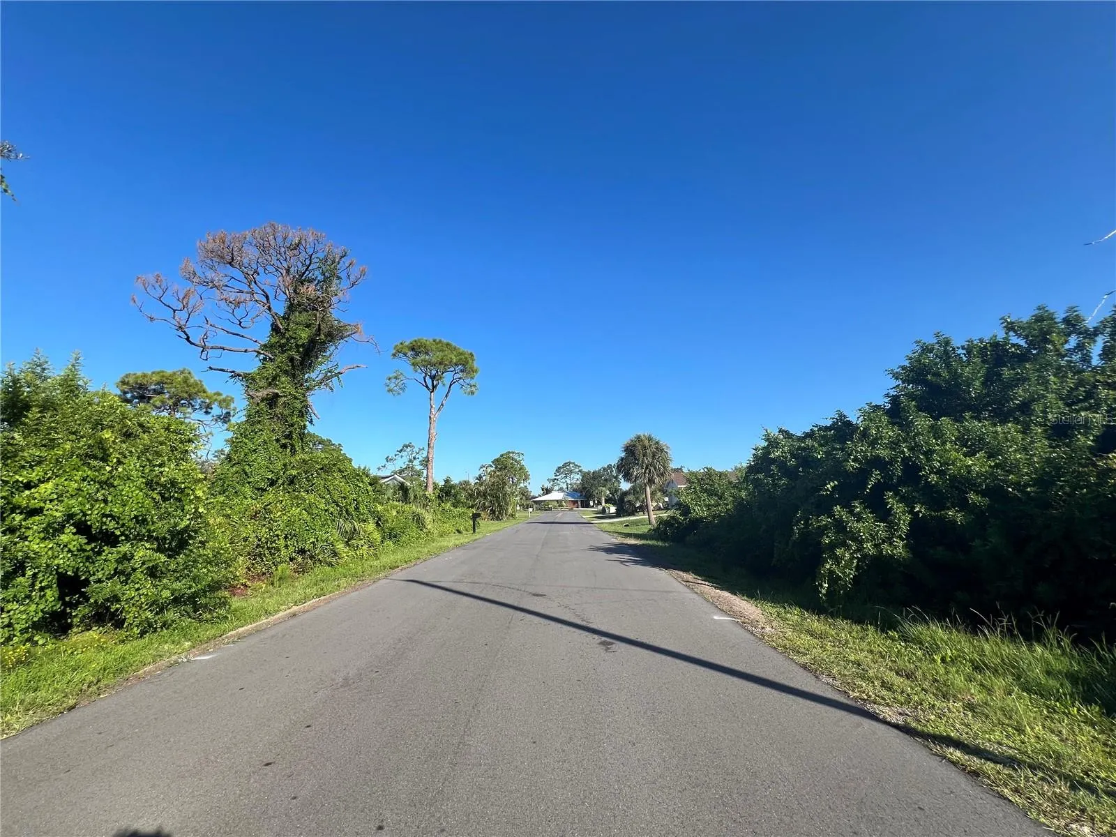 EUCLID RD