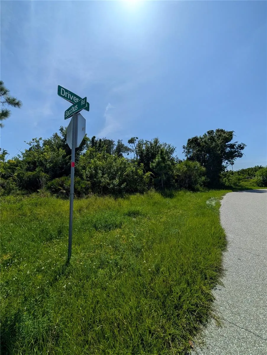 12629 and 12637 BACCHUS RD