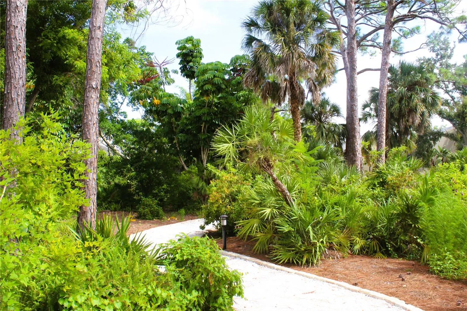 707 PINE RUN DR