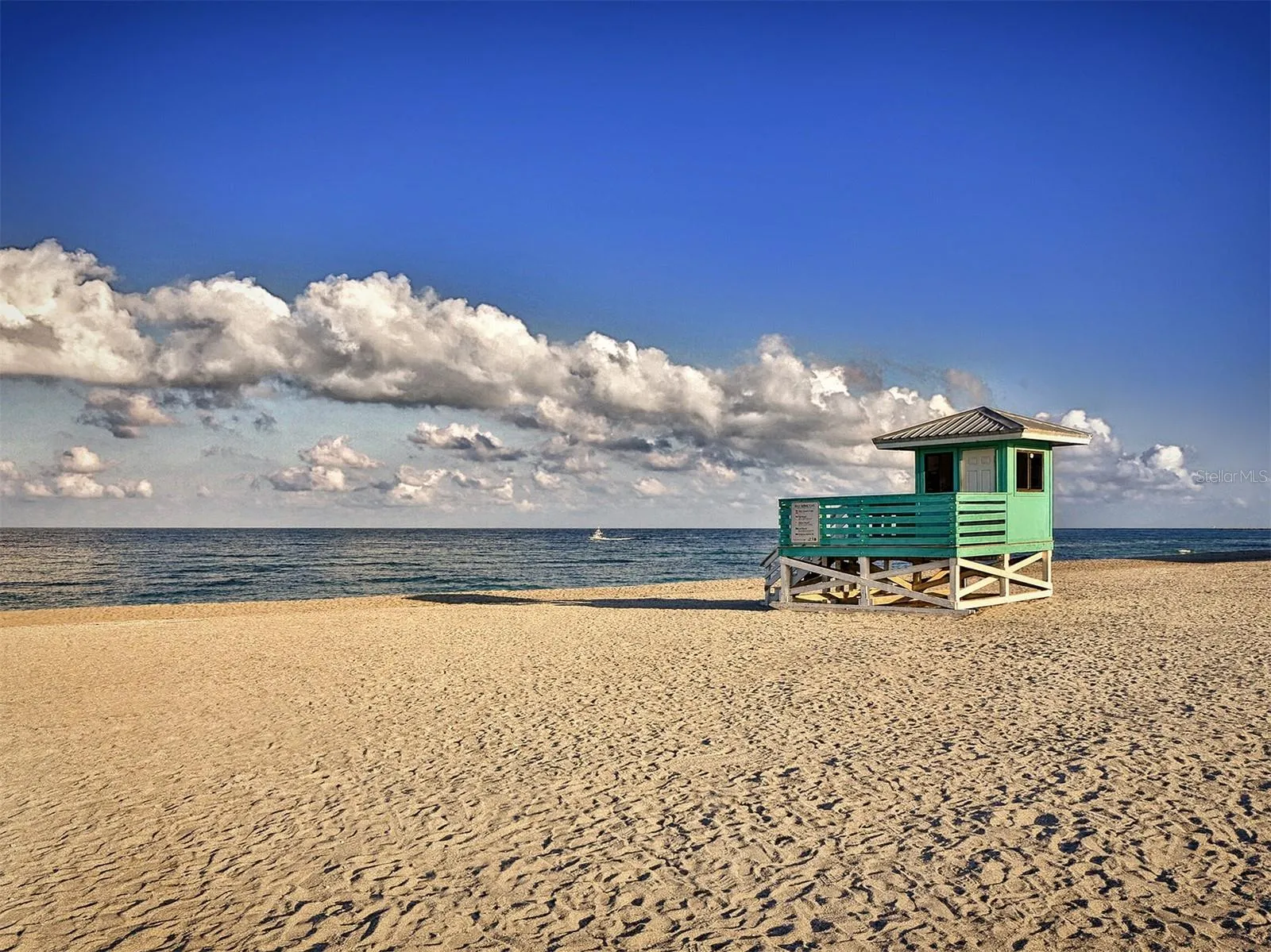 1100 CAPRI ISLES BLVD #423, #423