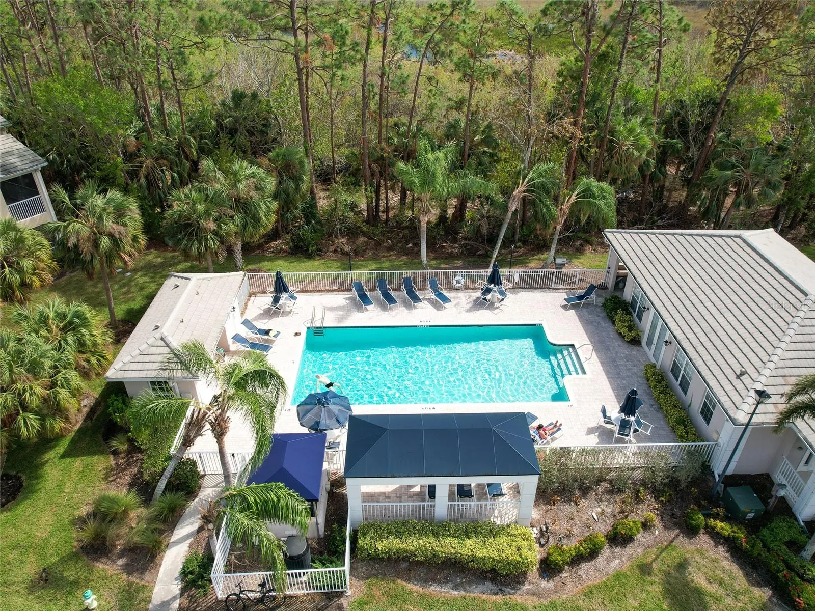 1537 MONARCH DR