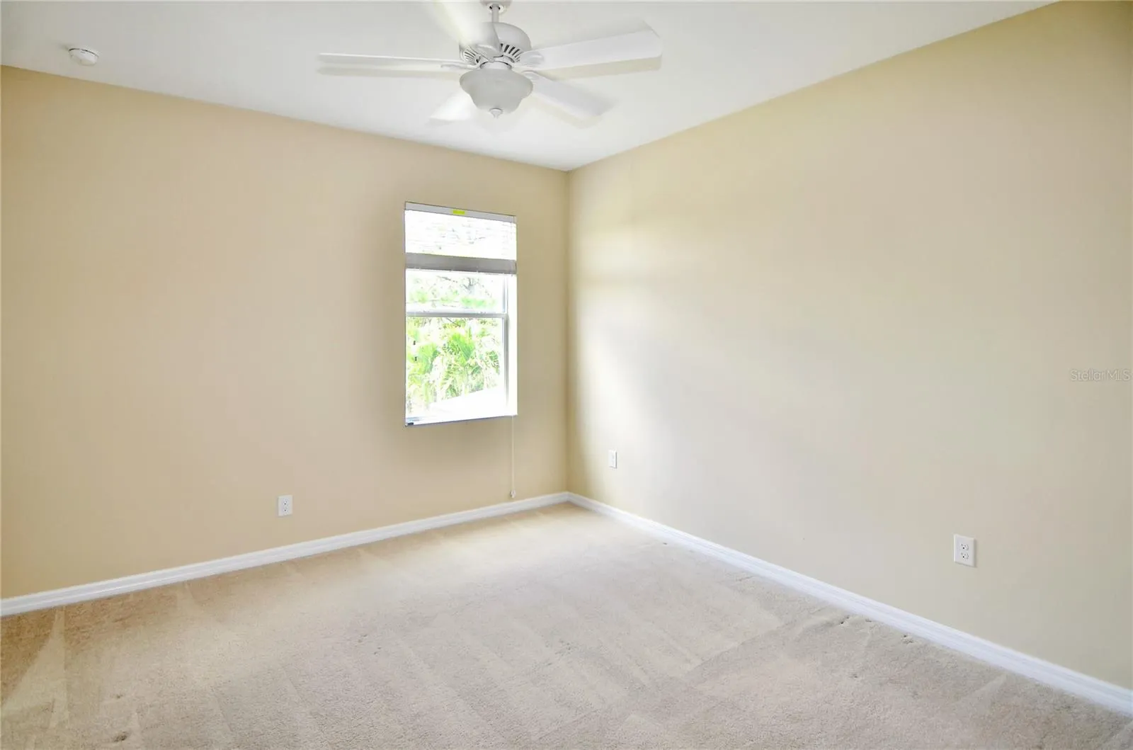 205 COHOSH RD