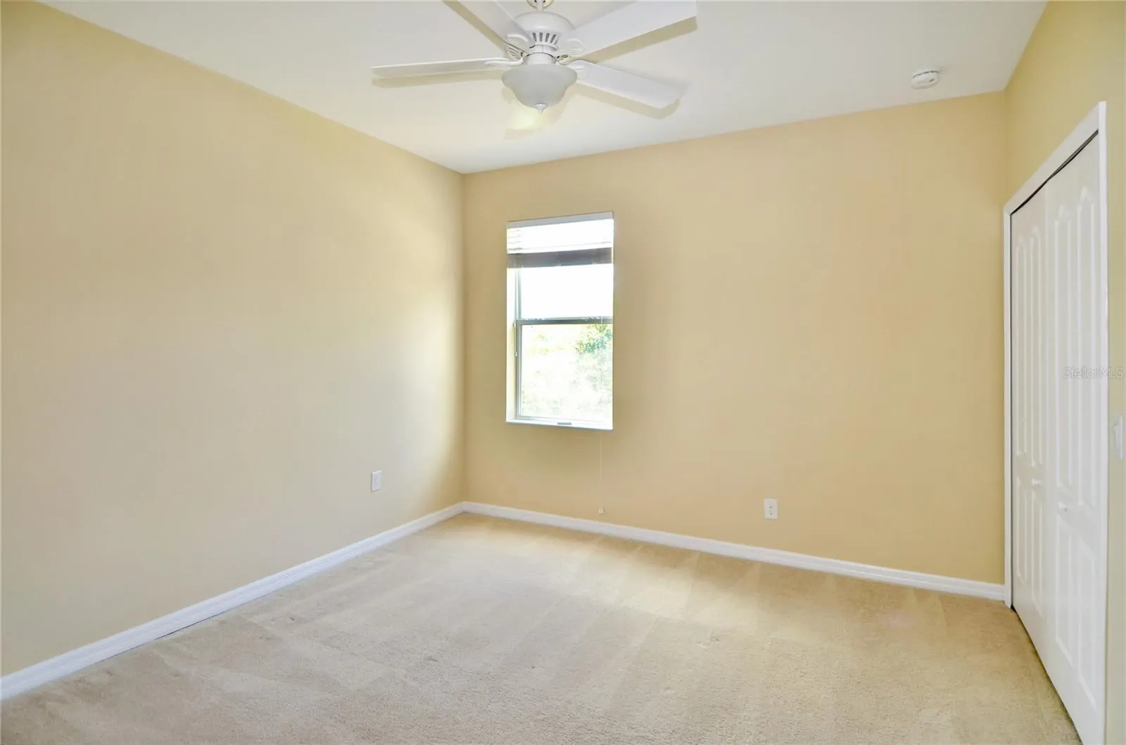 205 COHOSH RD
