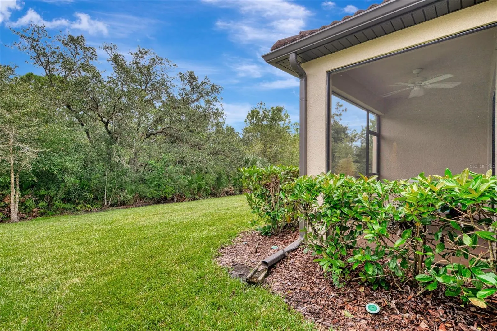 2478 DAISY DR