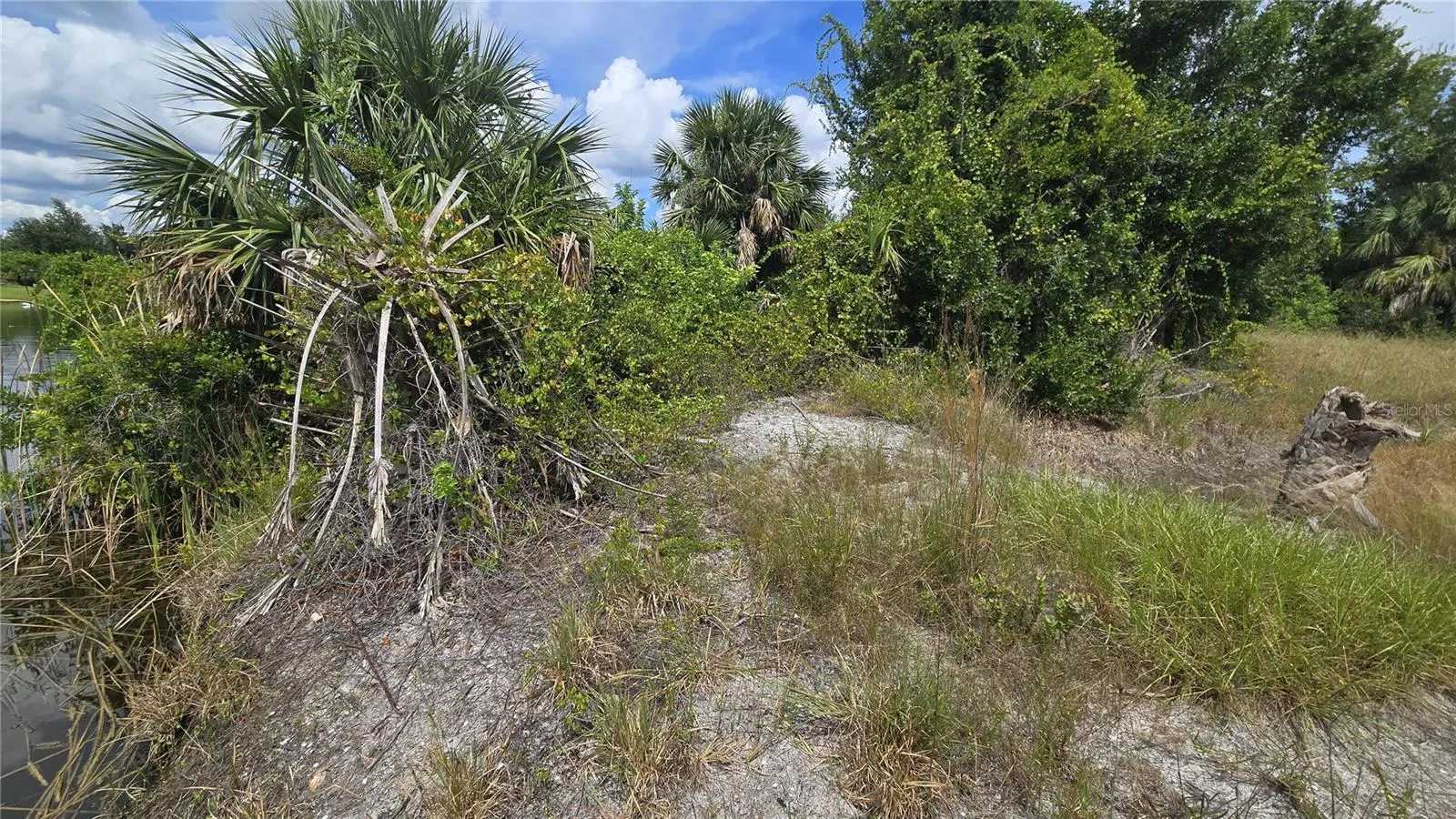 14153 FRUIT PORT CIR