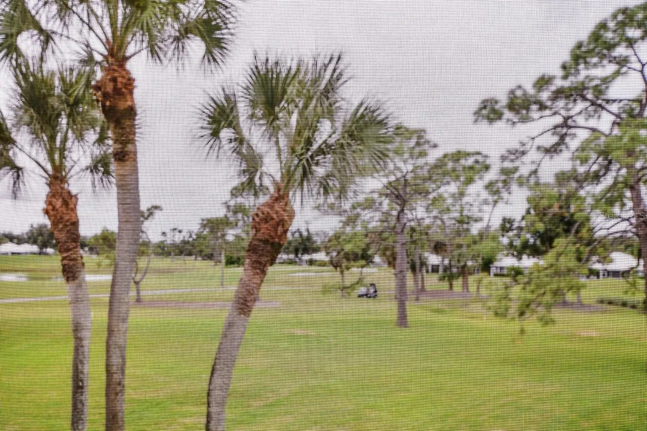 433 CERROMAR LN #438, #438