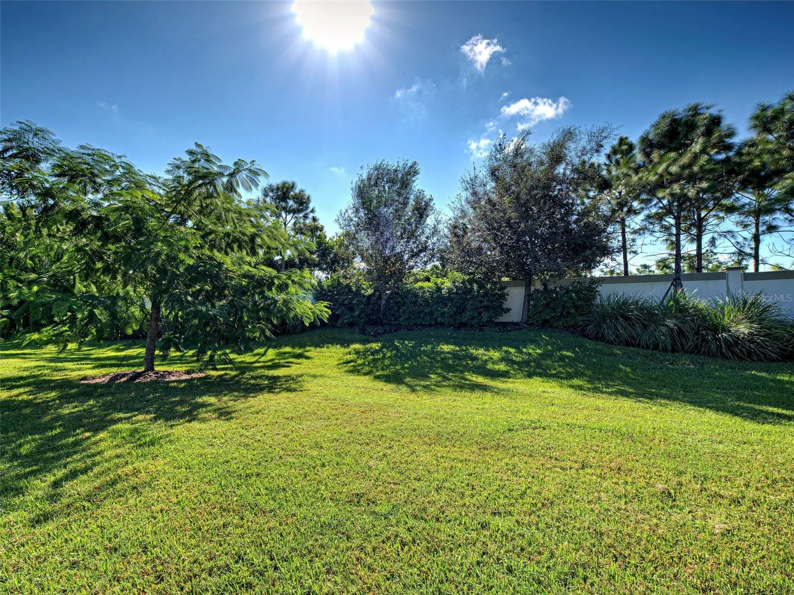 240 CORELLI DR