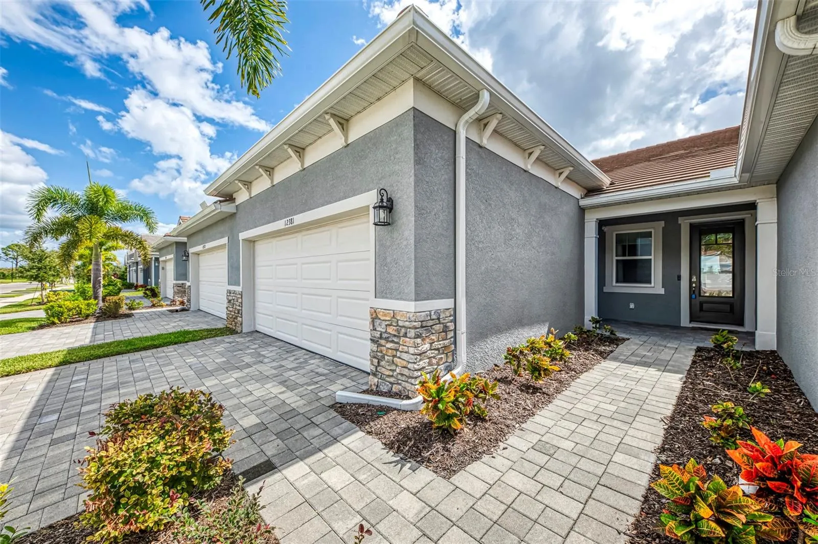 12381 ASANA CT