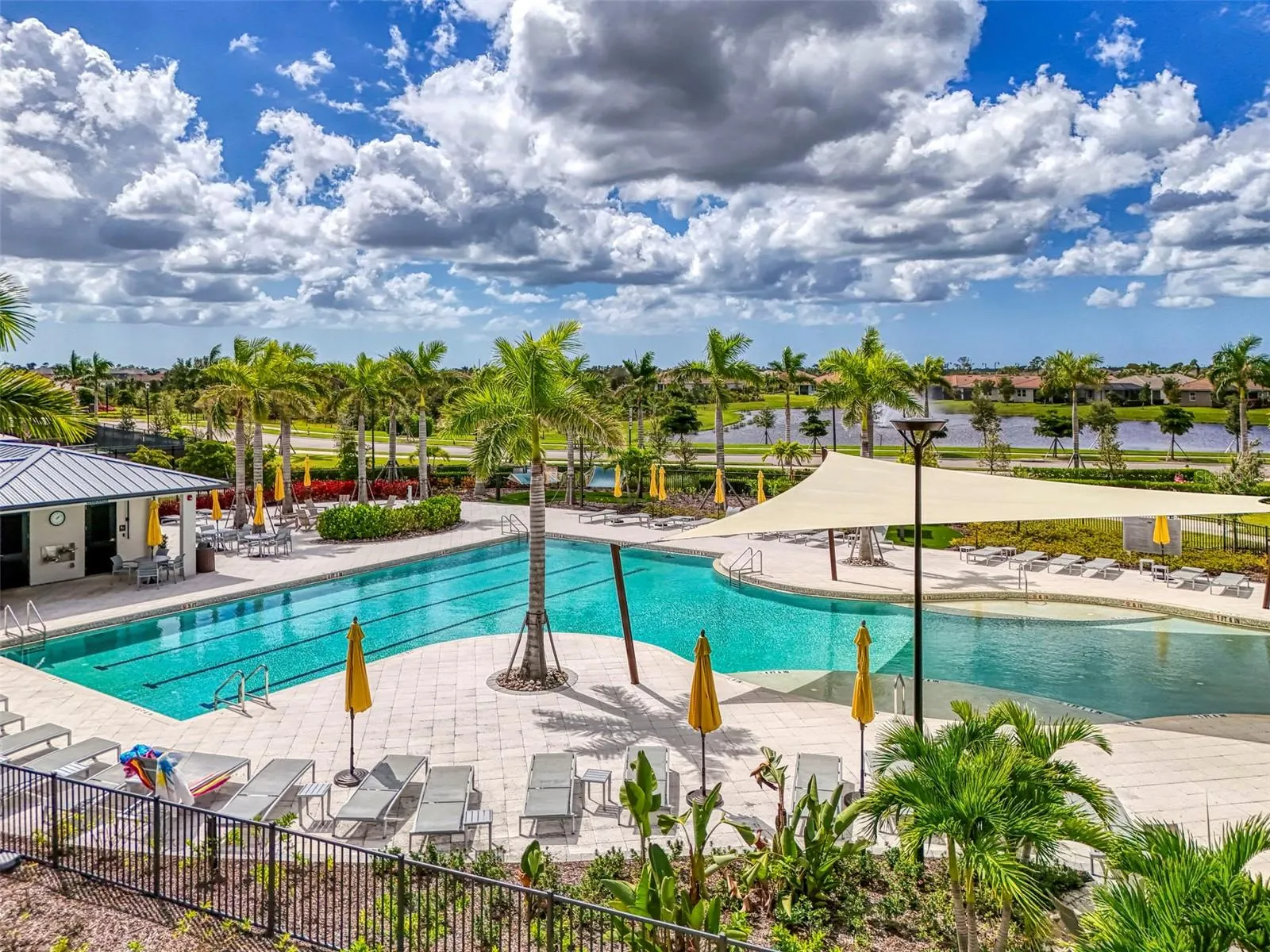 12381 ASANA CT