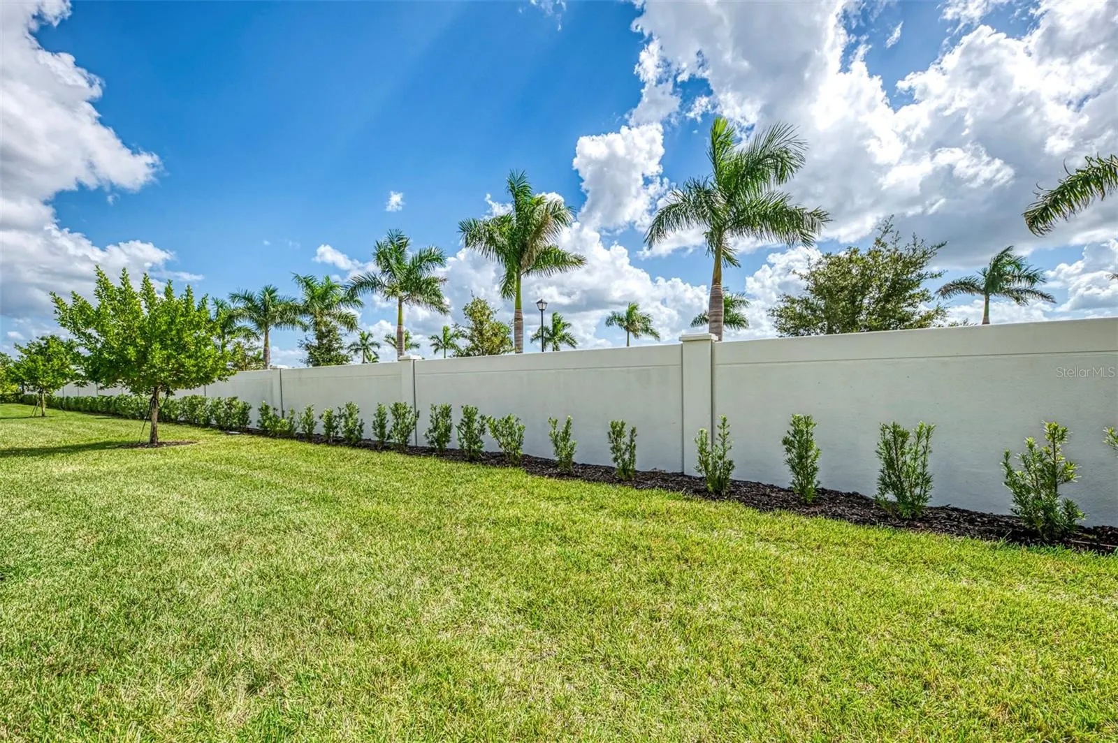 12381 ASANA CT