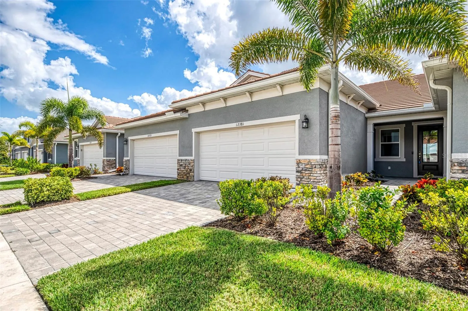 12381 ASANA CT