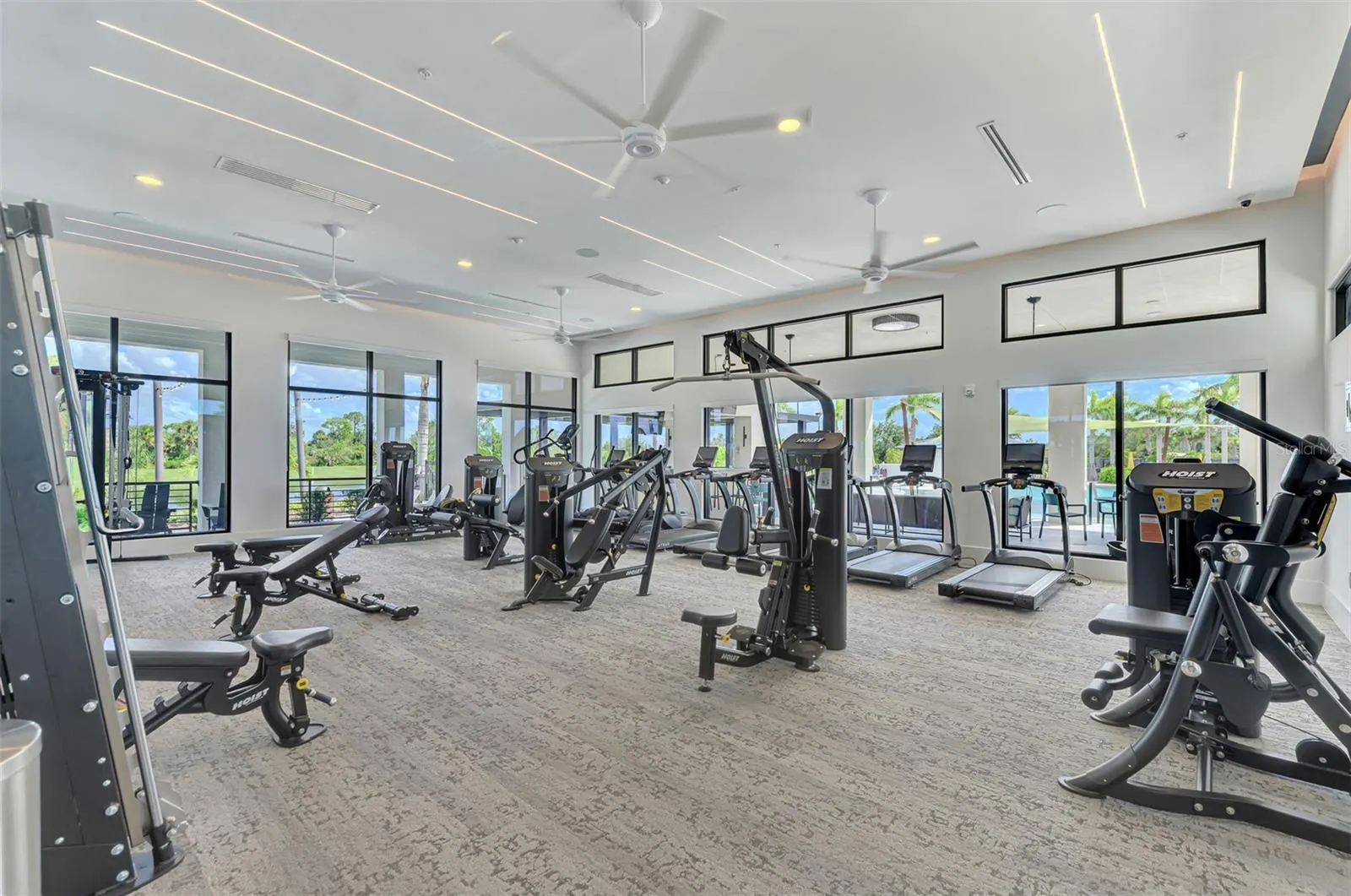 12381 ASANA CT