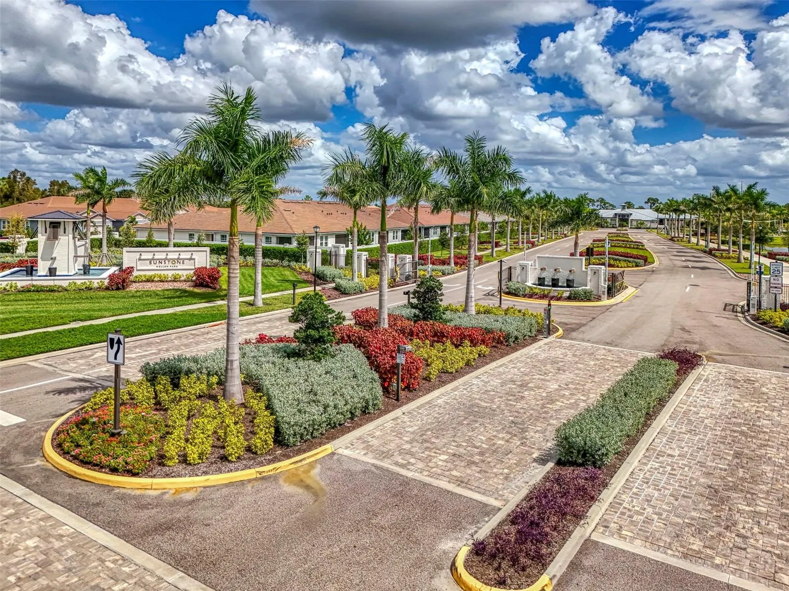 12381 ASANA CT