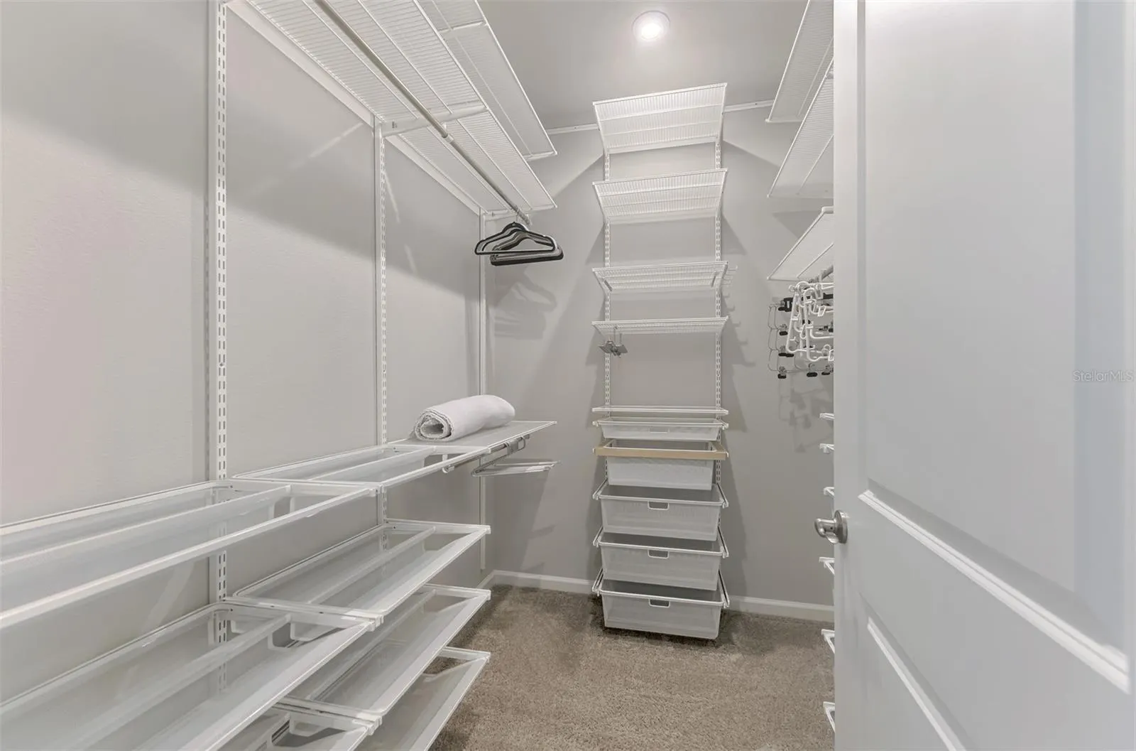 12381 ASANA CT