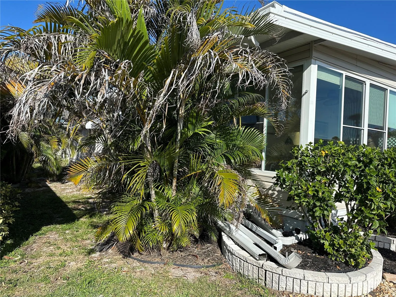 5800 FORSYTHIA RD