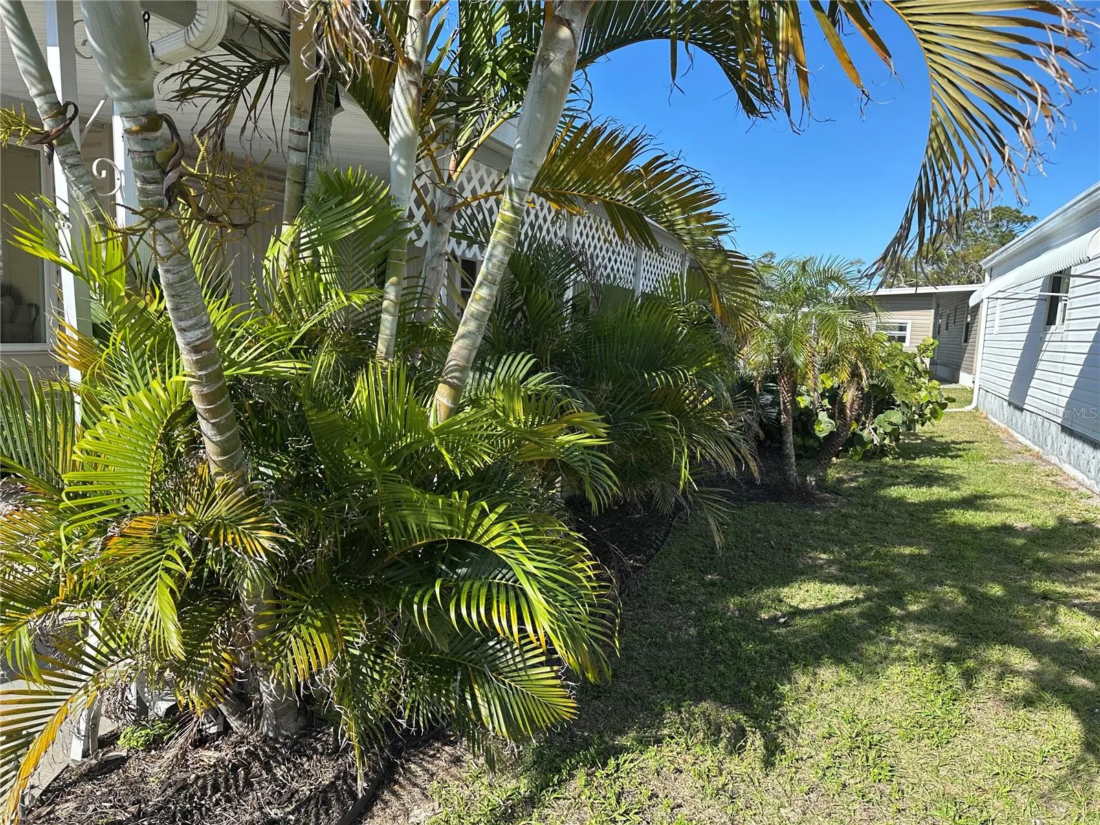 5800 FORSYTHIA RD