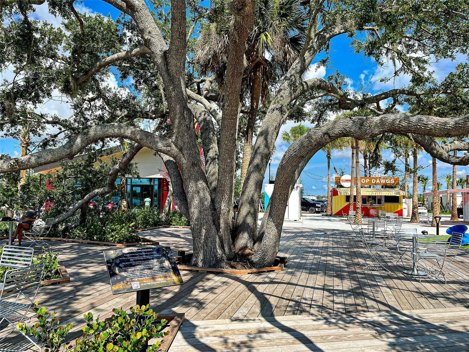 12909 TIGERS EYE DR