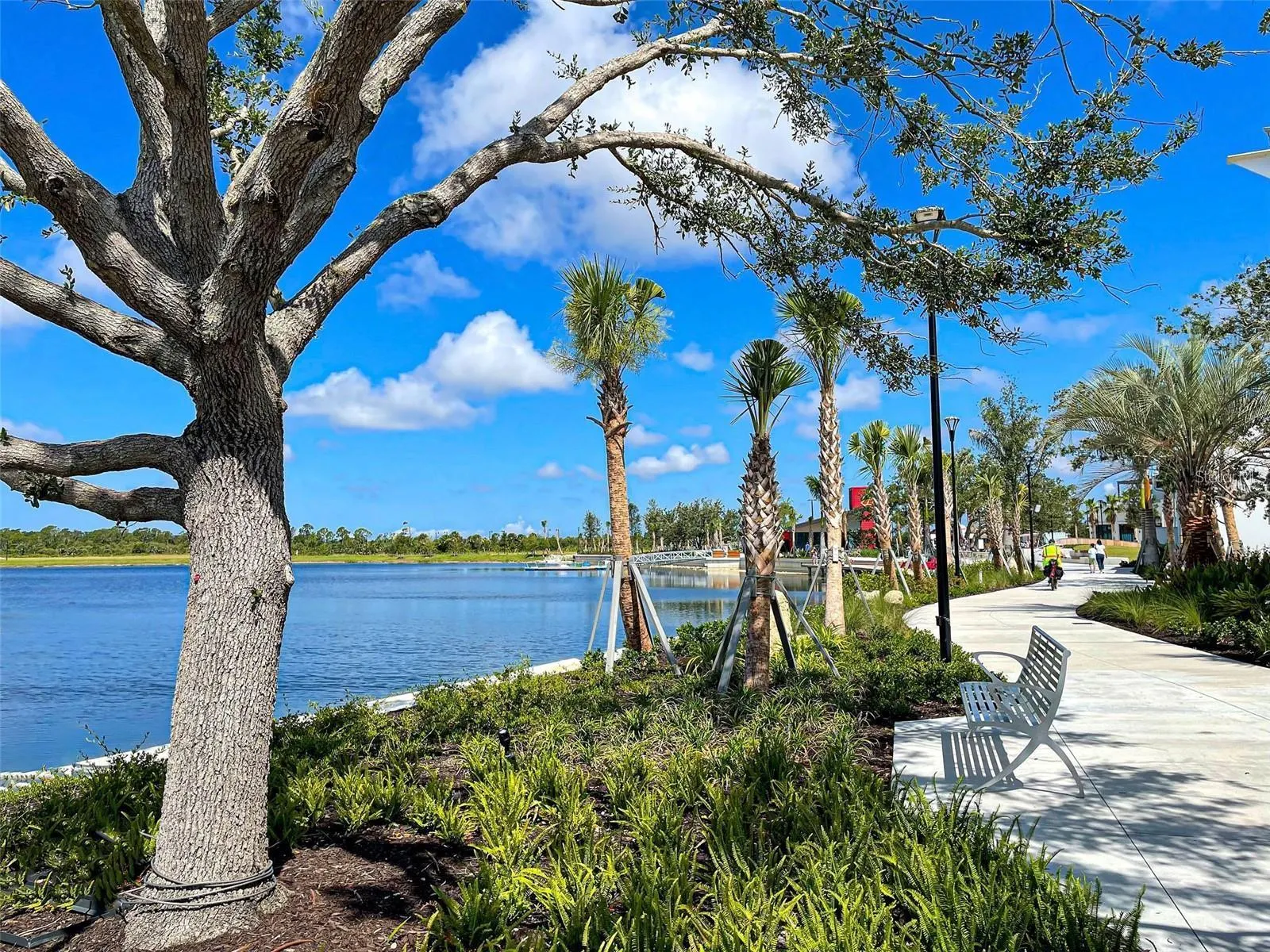 12909 TIGERS EYE DR