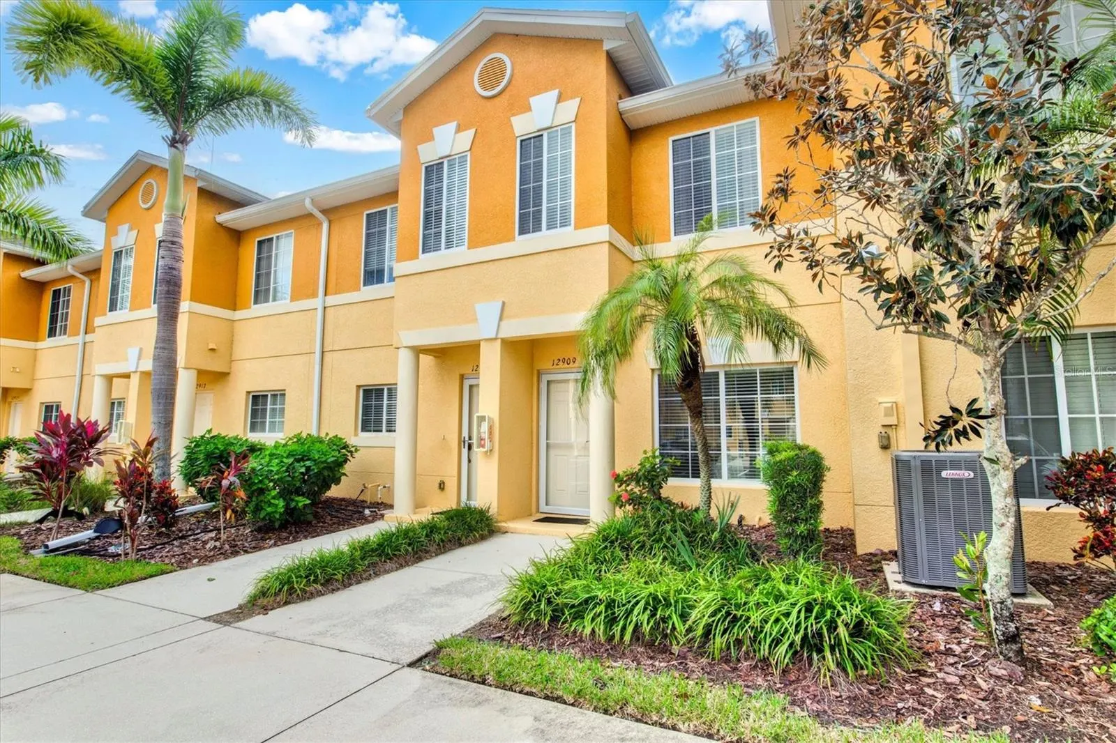 12909 TIGERS EYE DR