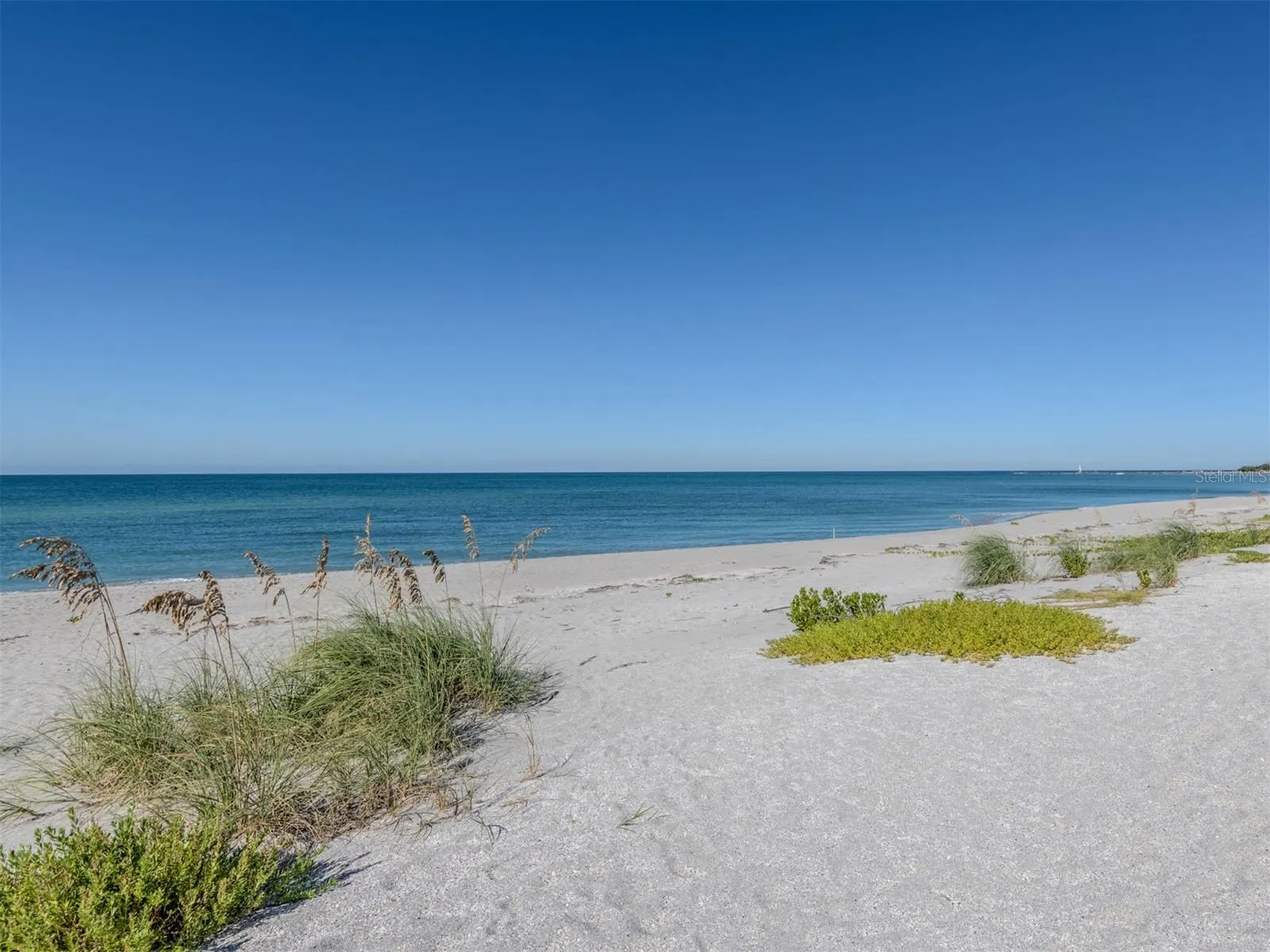 1150 TARPON CENTER DR #608 (6-H), #608 (6-H)
