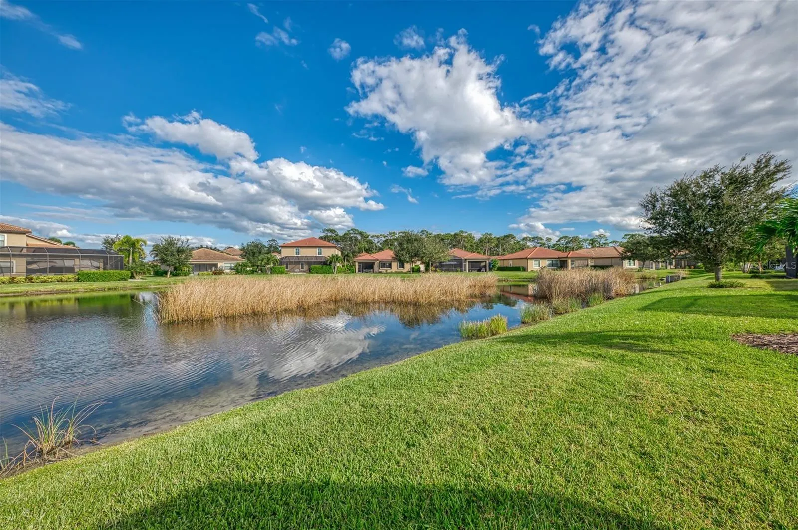 1050 BLUFFWOOD DR