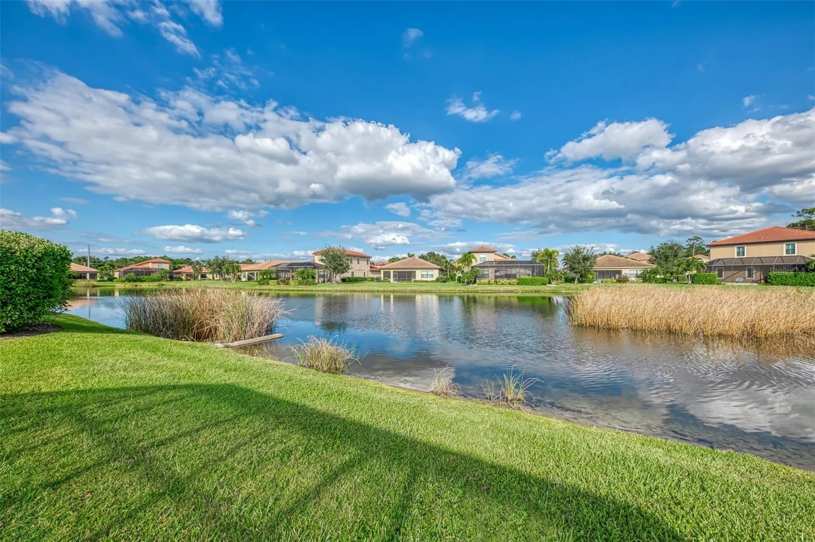 1050 BLUFFWOOD DR