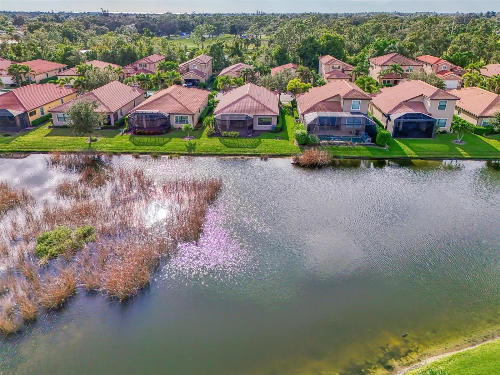1050 BLUFFWOOD DR