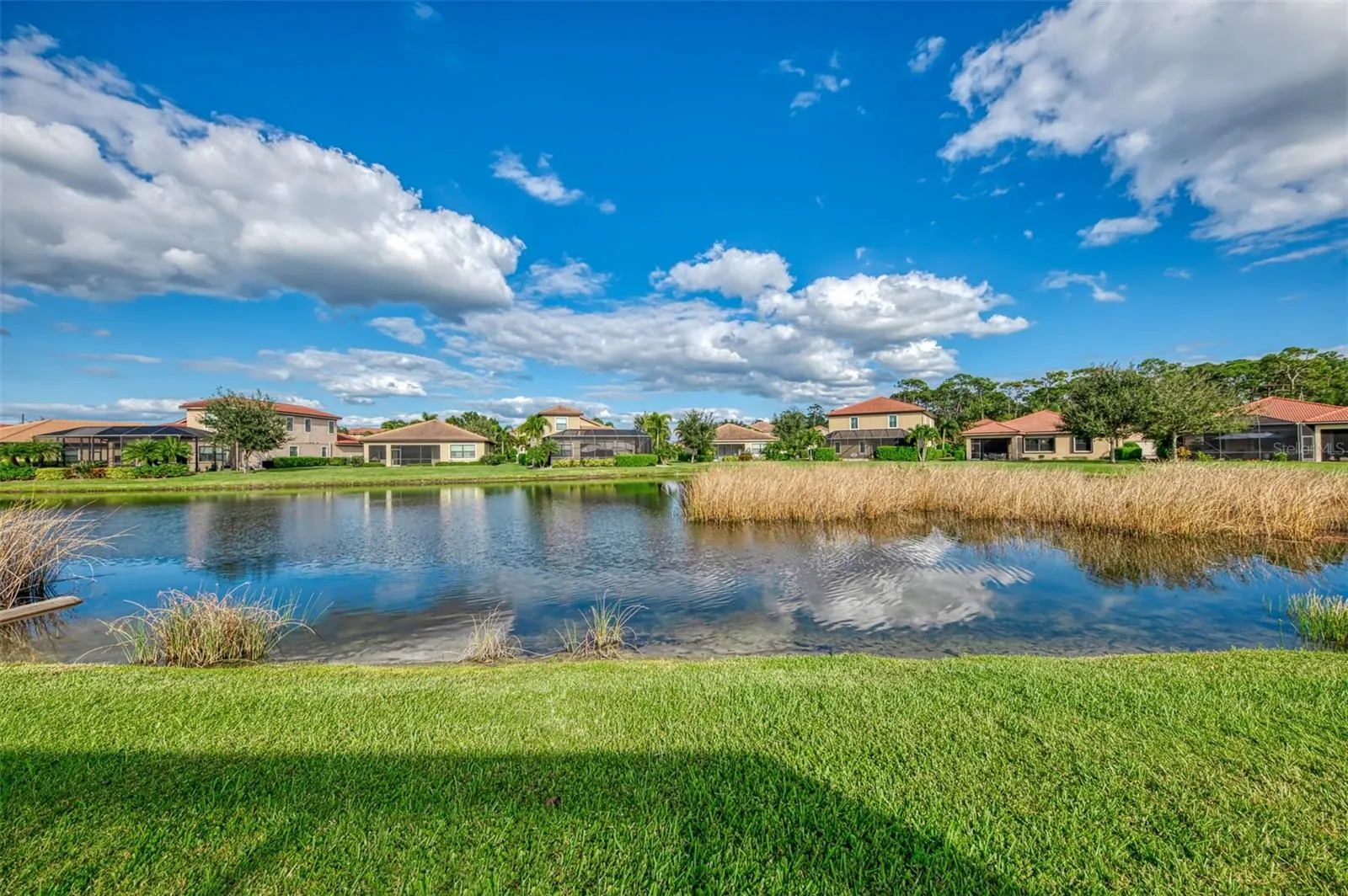 1050 BLUFFWOOD DR