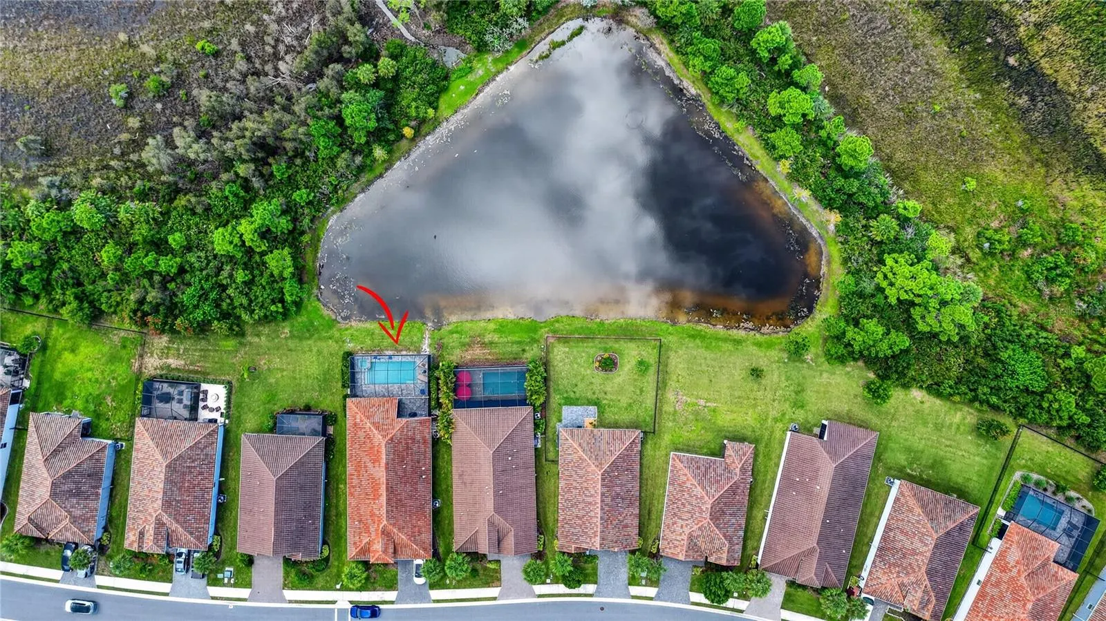 257 DAYLILY BLVD