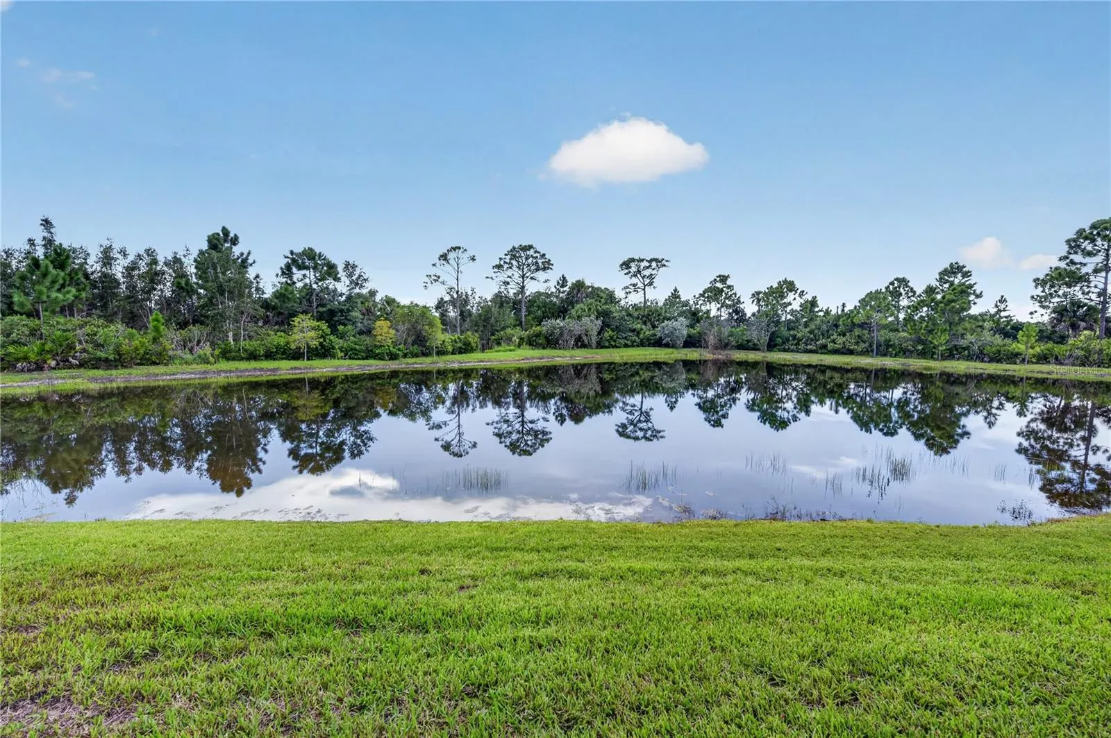 257 DAYLILY BLVD