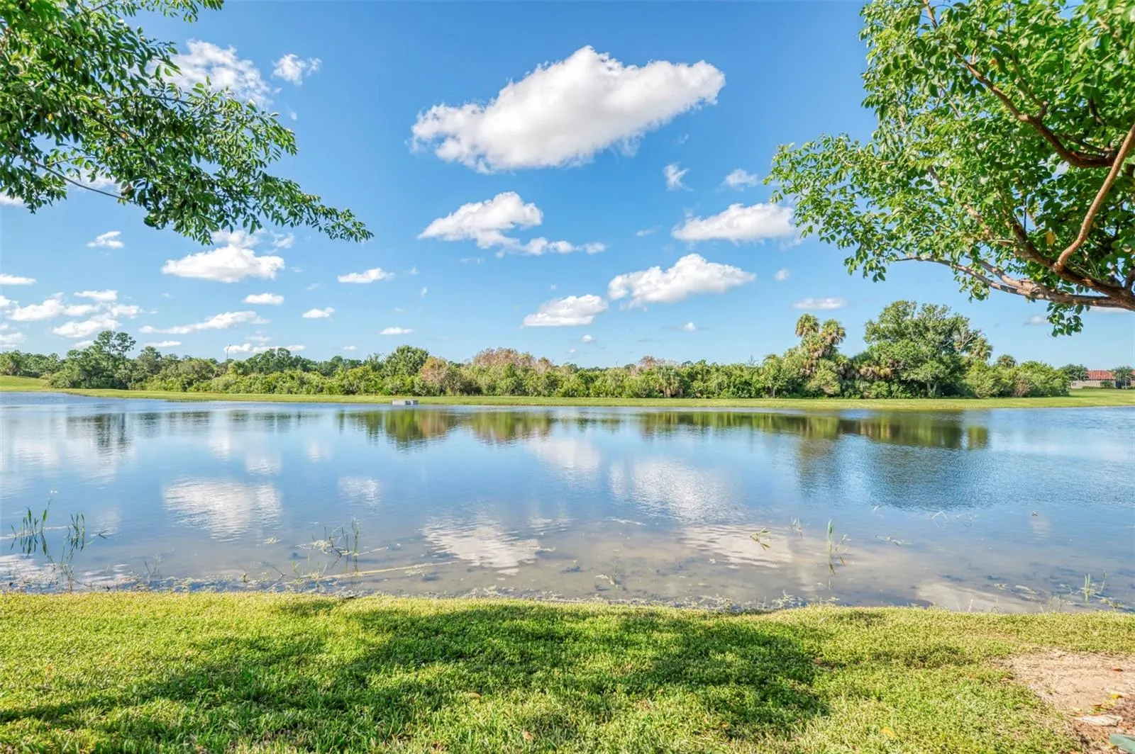 10205 STAGGERBUSH DRIVE #102 #102