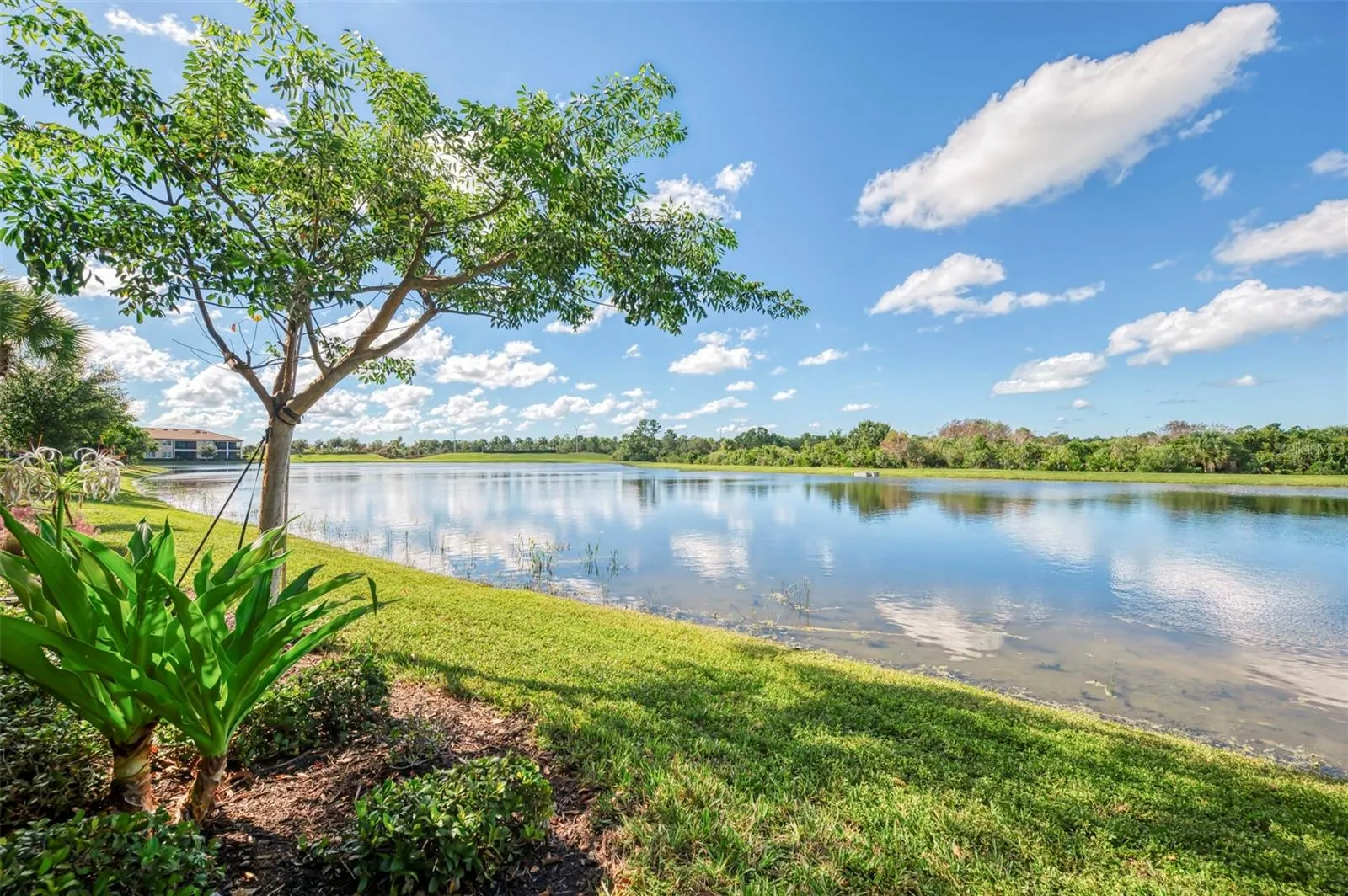 10205 STAGGERBUSH DRIVE #102 #102