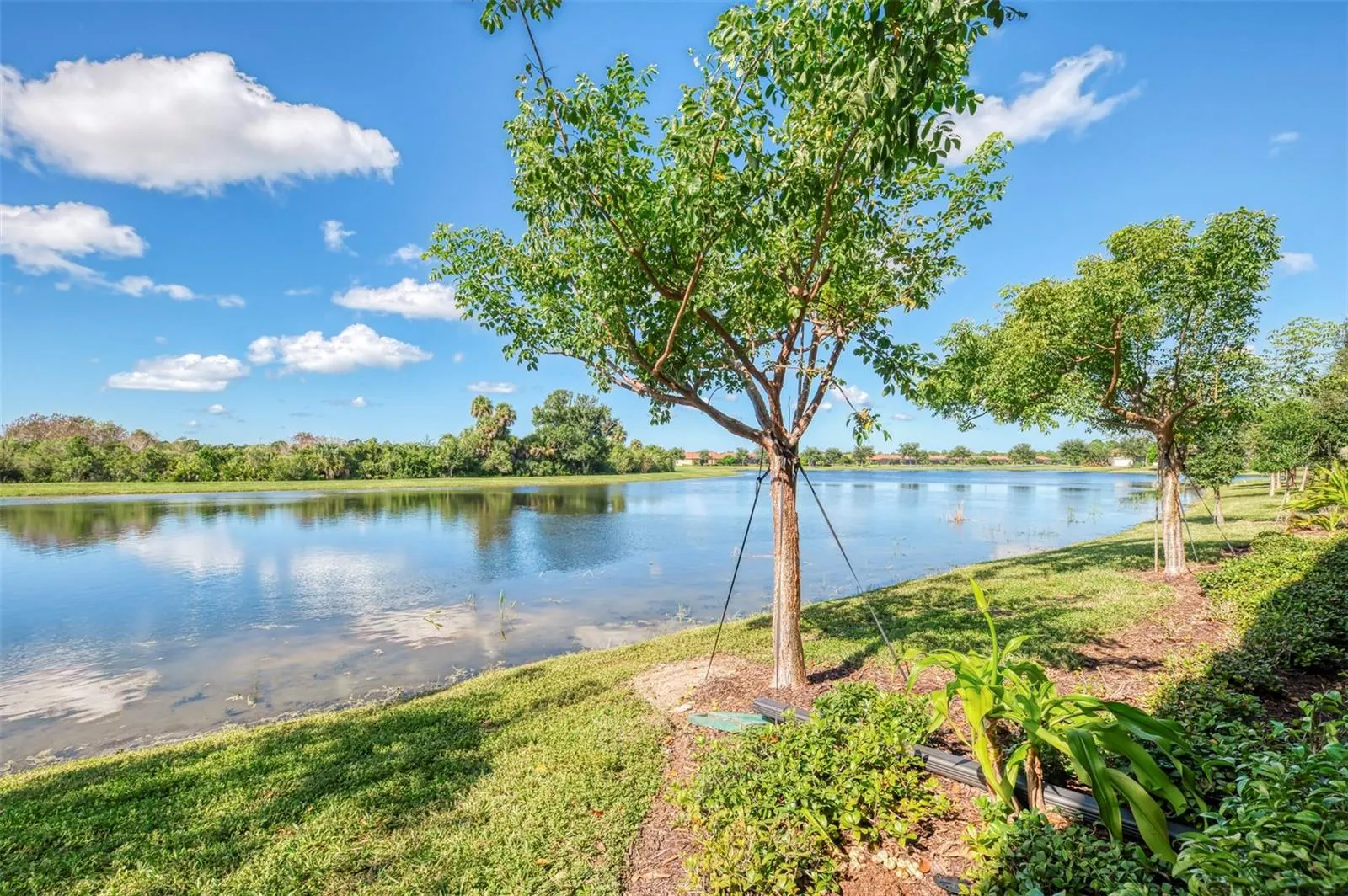 10205 STAGGERBUSH DRIVE #102 #102