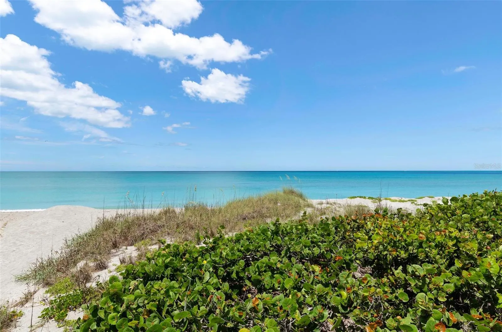 550 W FLAMINGO DR #2 #2