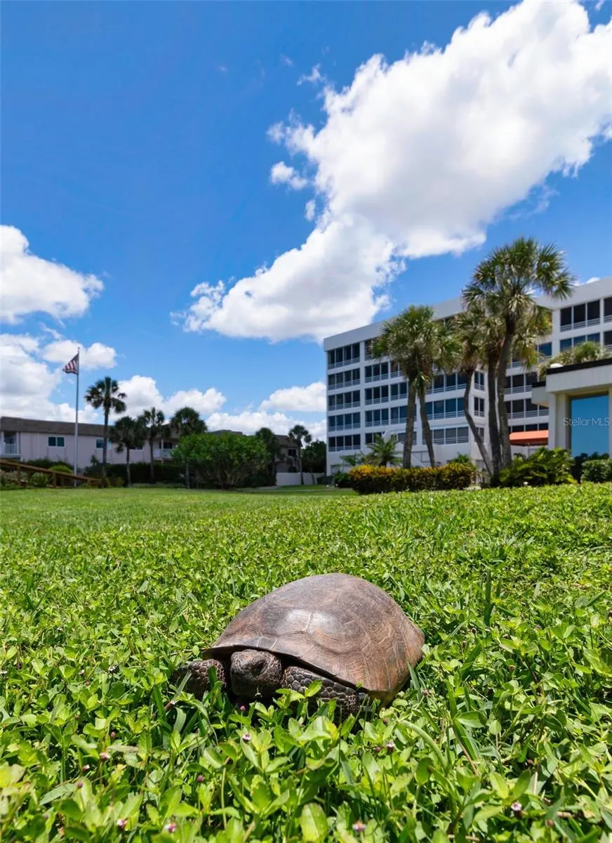 550 W FLAMINGO DR #2 #2