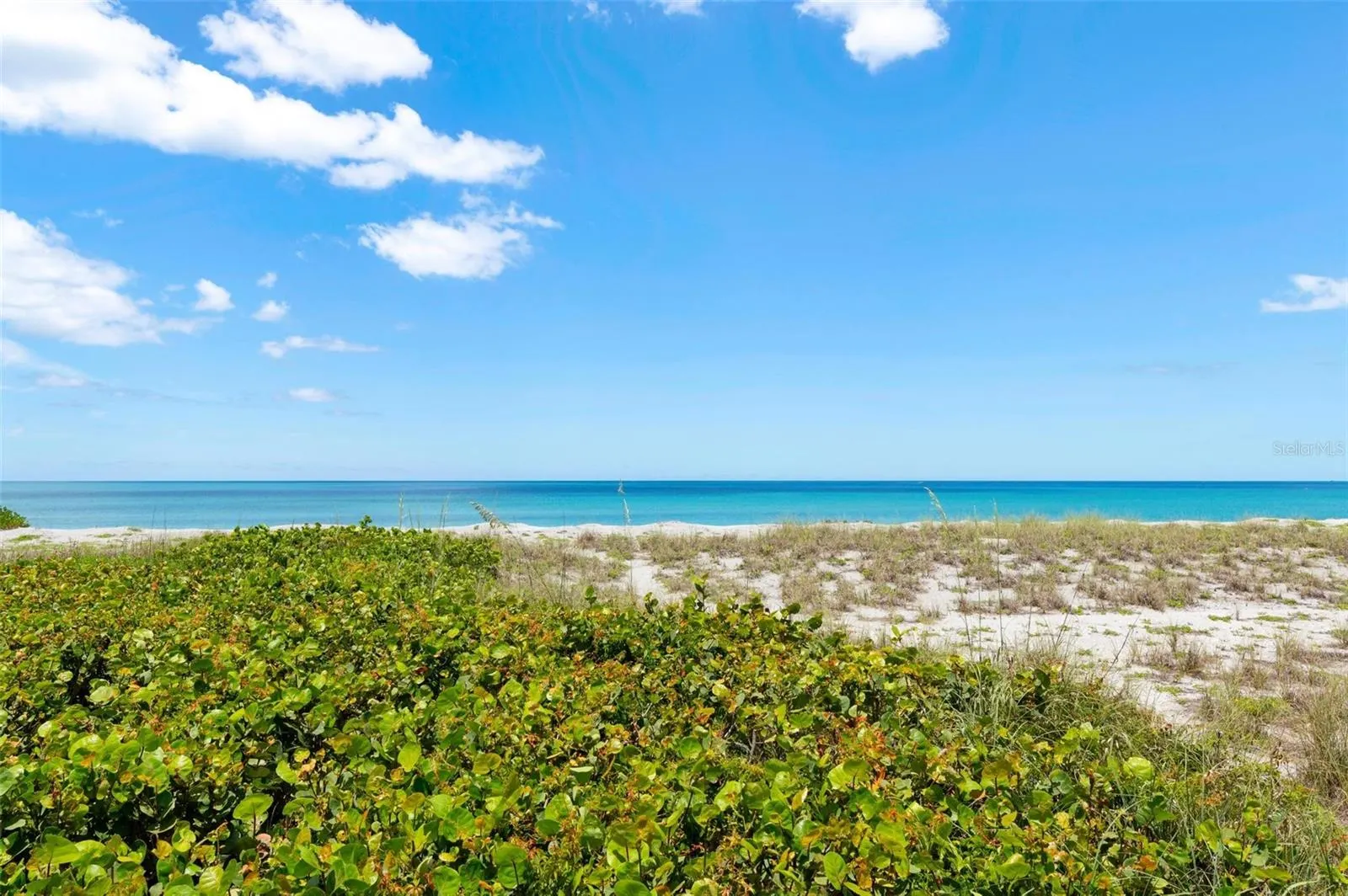 550 W FLAMINGO DR #2 #2