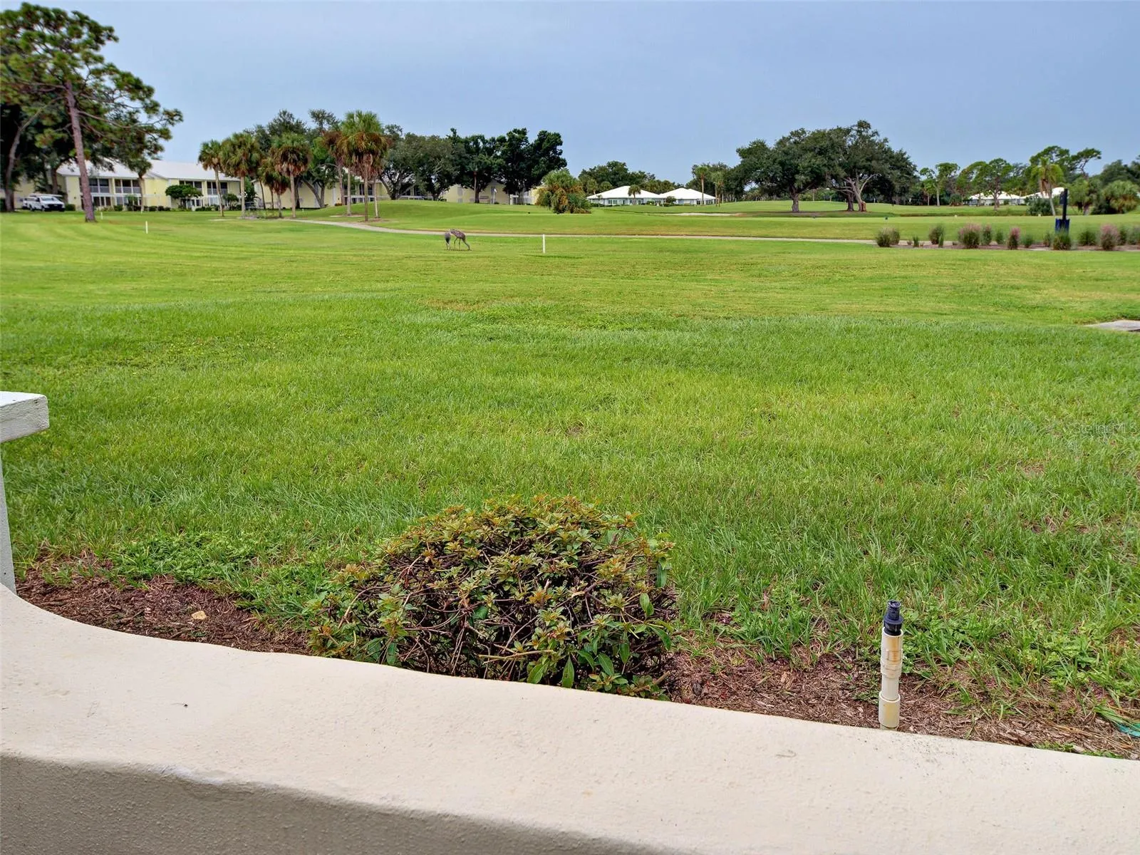 435 CERROMAR LN #329 #329