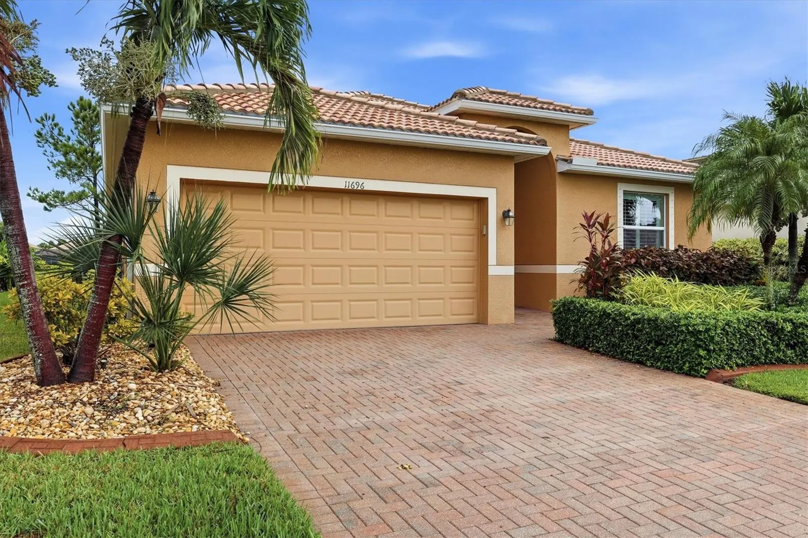 11696 SPOTTED MARGAY AVE