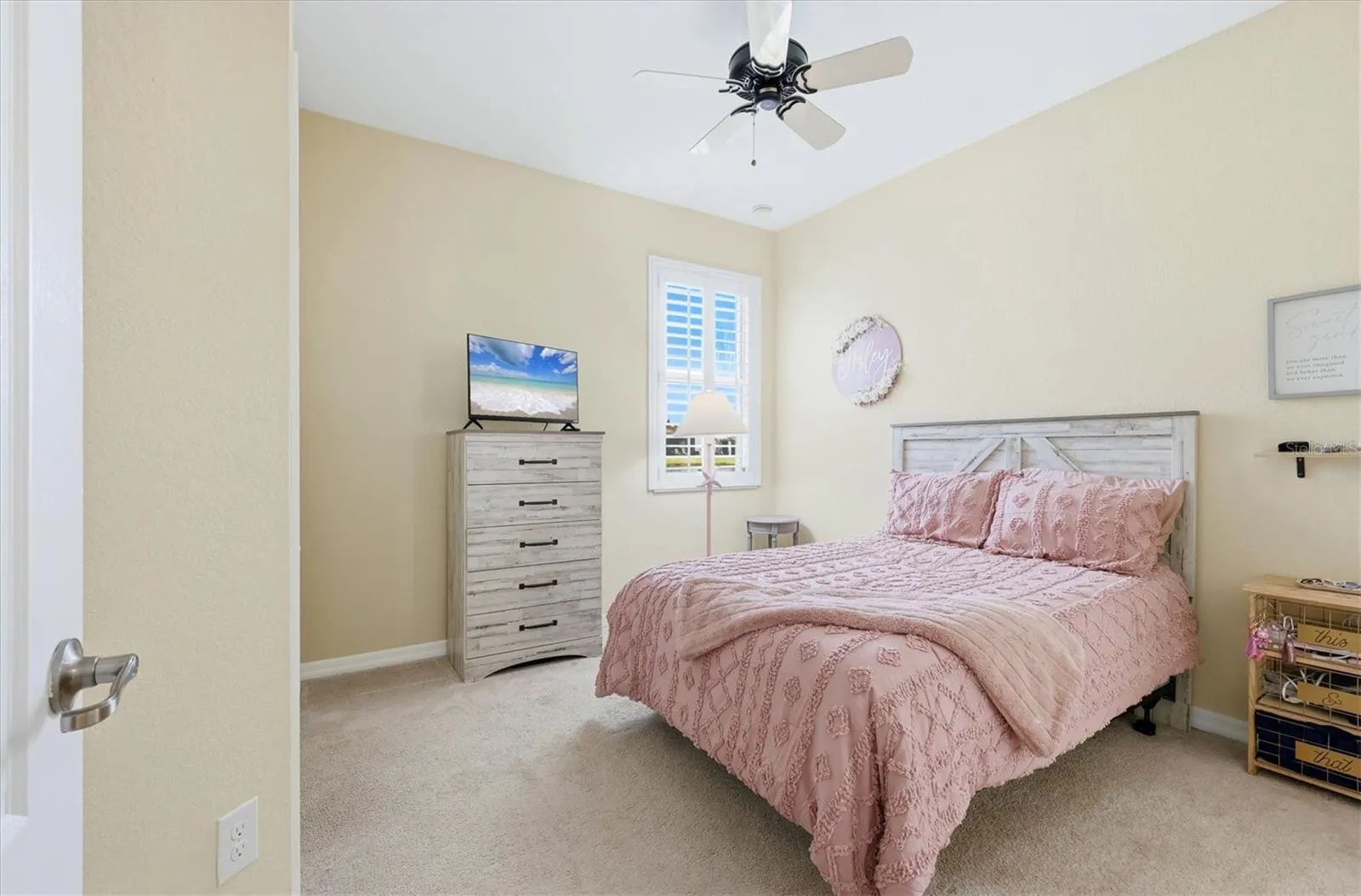 11696 SPOTTED MARGAY AVE